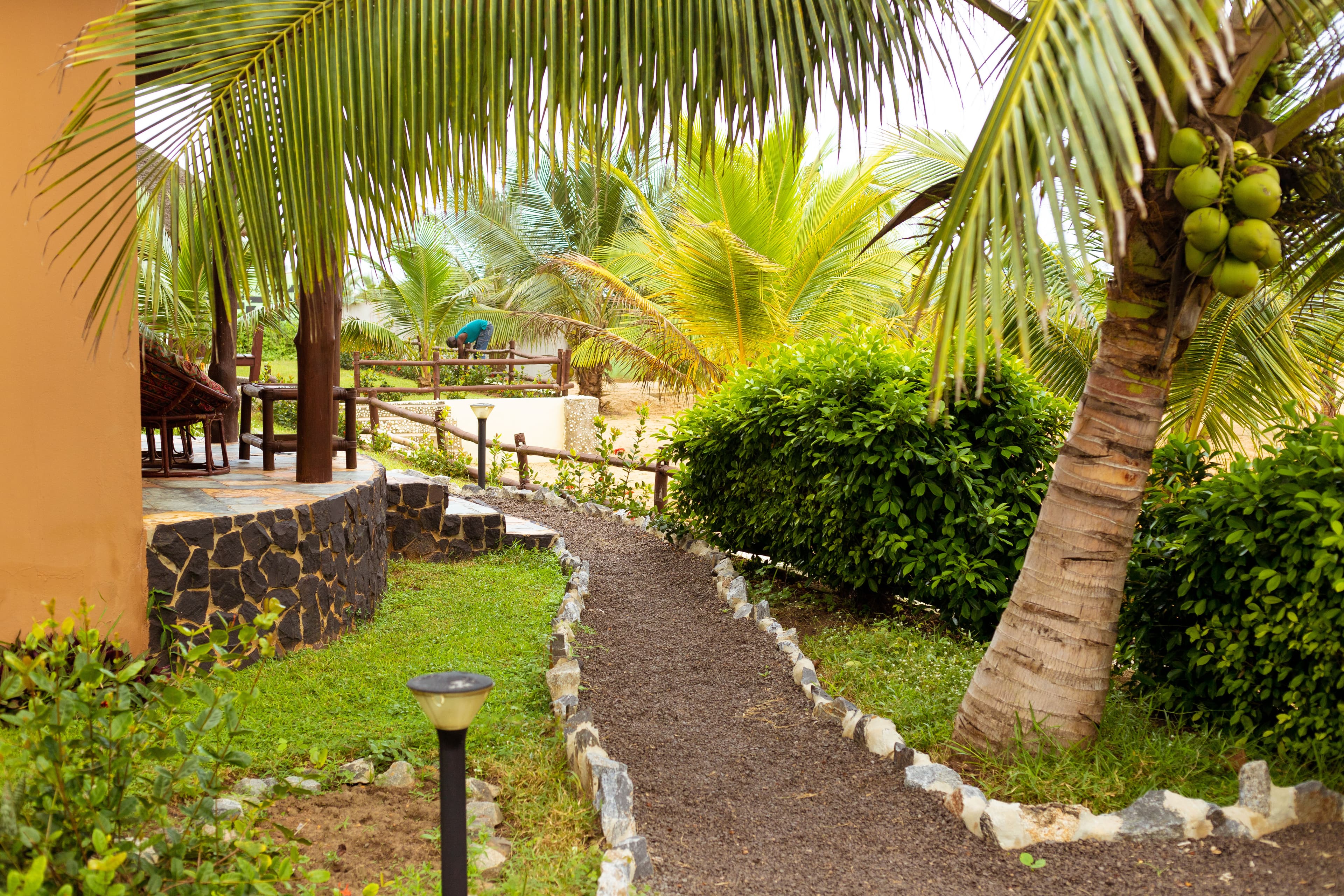 Palm-lined path at Lemon Beach Resort